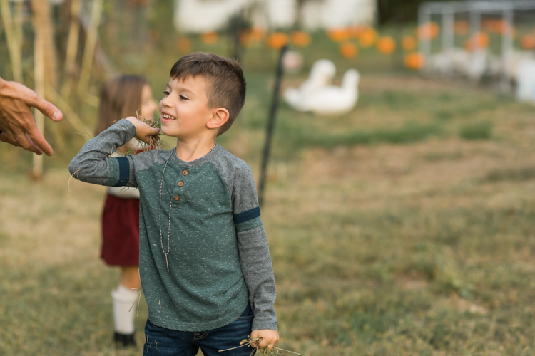Fall is in full swing here in NJ, my first Fall Family session with Anna and Adam at their Farm House in Hackettstown NJ. Anna and Adam recently purchased their dream farm house on a 4 acres of land. This family of four now has chickens, ducks, birds, cats, a dog, sheep and plans to add many more to the list in the future. I had the honor of visiting Anna and Adam and their two beautiful children at their Farm the other day. I got much need vitamin D walking around the property, enjoying the foliage, running around with their kids and meeting all the farm animals. I sincerely enjoy photographing families now because there are no dull moments with kids, every moment is perfect! Fall family session at Anna and Adam’s Farm at Hackettstown NJ photographed by Karis from HeyKaris.